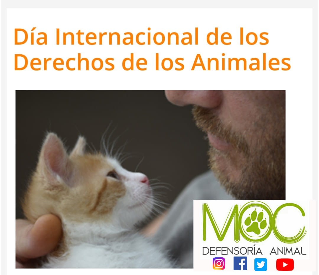 10 de Diciembre Día Internacional de los Derechos de los Animales