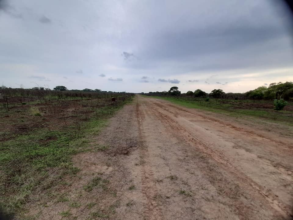 OBTIENE FGR VINCULACIÓN A PROCESO CONTRA UNA PERSONA POR VUELOS CLANDESTINOS EN CHIAPAS