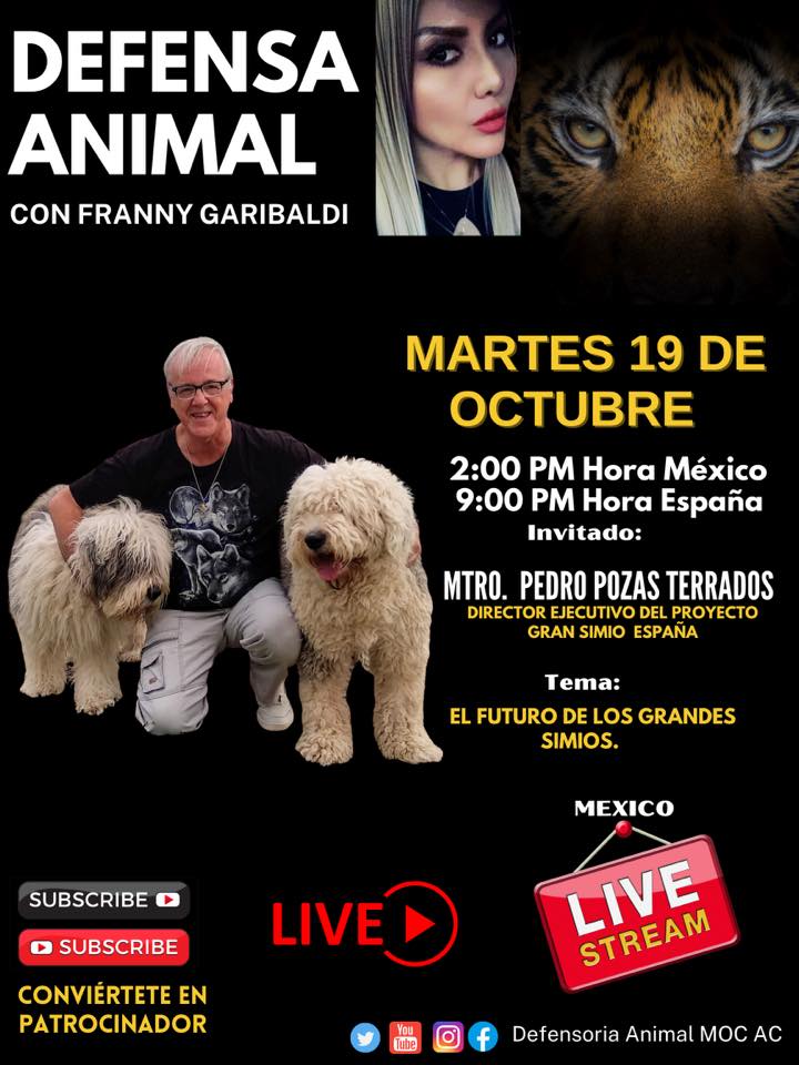 No te pierdas! Este 19 de Octubre,