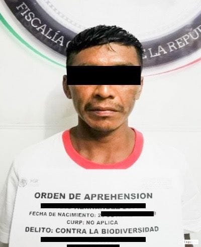 CUMPLIMENTA LA PFM ORDEN DE APREHENSIÓN DE UNA PERSONA POR UN DELITO CONTRA LA BIODIVERSIDAD