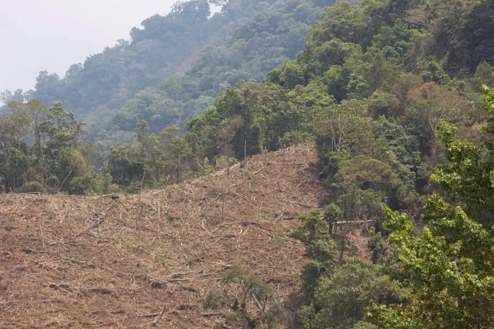 Conservacionista pide se le otorguen medidas de protección, teme por su vida