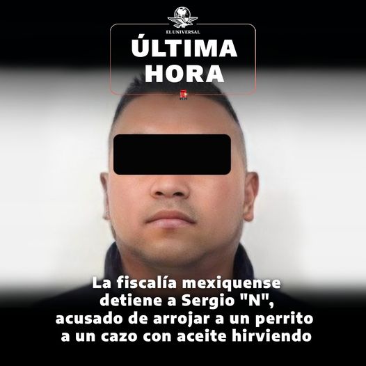 ¡JUSTICIA! Ya detuvieron al sujeto que lanzó a un perrito a un cazo con aceite hirviendo
