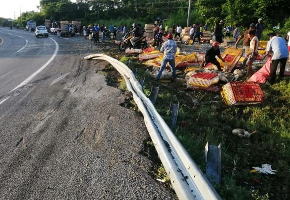 Volcadura de tráiler que transportaba pollos, los hechos ocurrieron en la carretera Huixtla – Tapachula, kilómetro 251+500, en la Curva del Diablo.