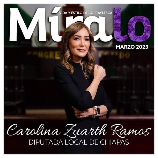 A través de un video, la diputada Caro Zuarth denunció Violencia Política en Razón de Género.