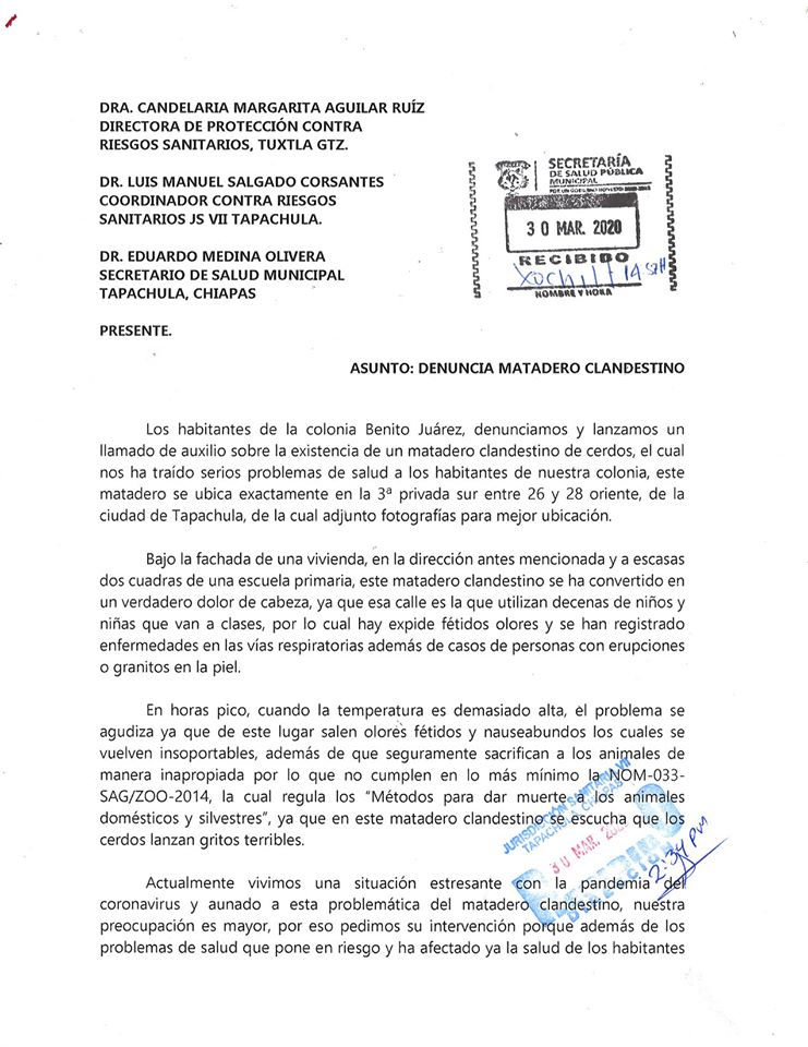 Habitantes de la Colonia Benito Juárez, de la ciudad de Tapachula, denuncian un matadero clandestino de puercos