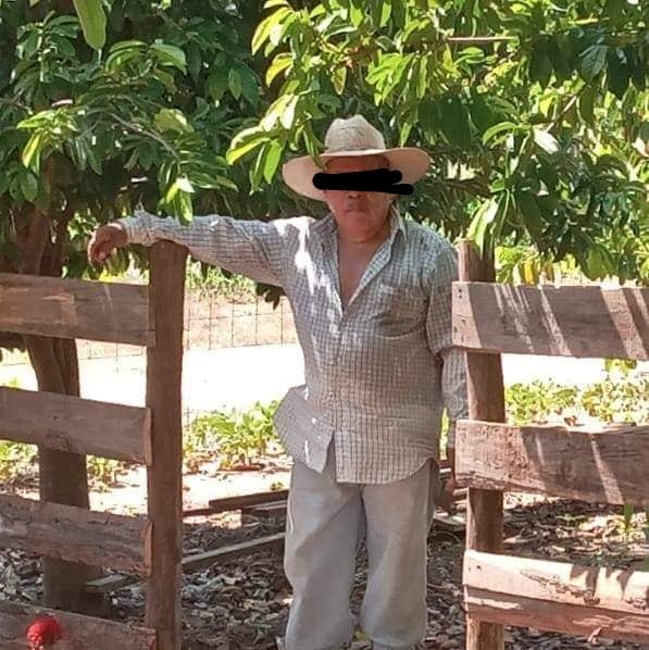 Denuncian a agresor de animales