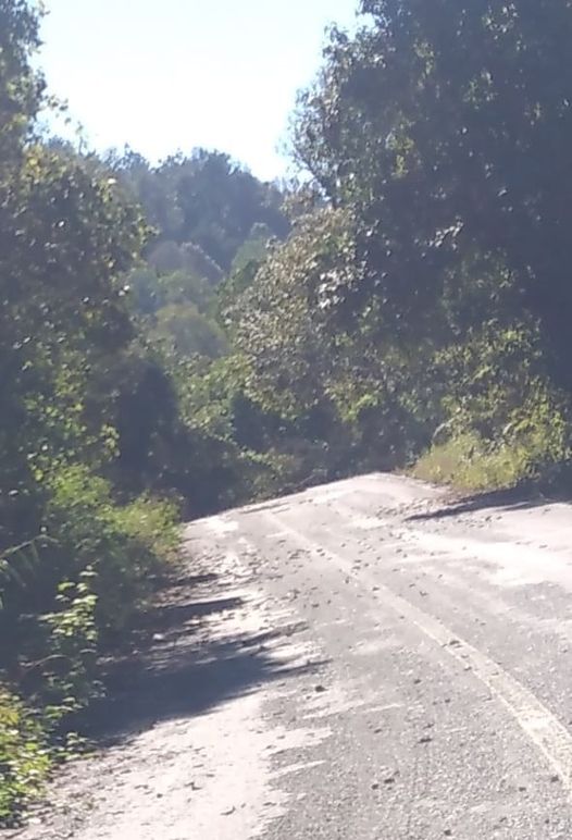 Bloquean con árboles tramo carretero Chicomuselo a Bellavista