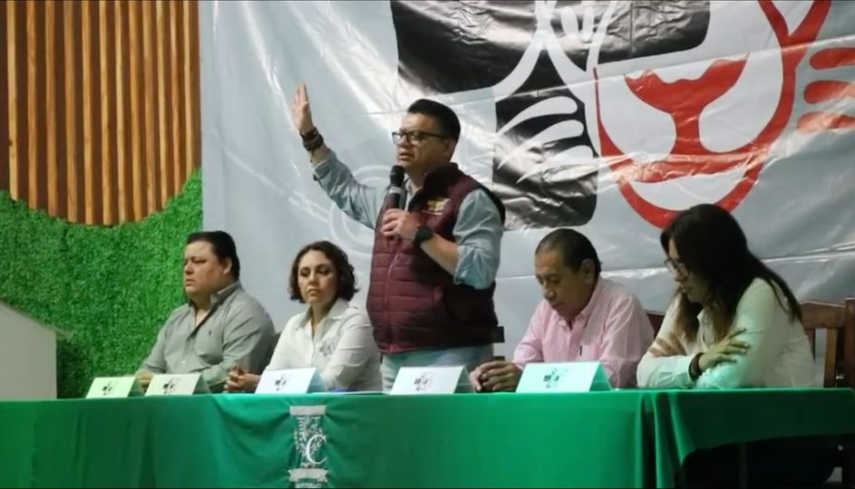 No les digo que los gatos ahora se creen jaguares.