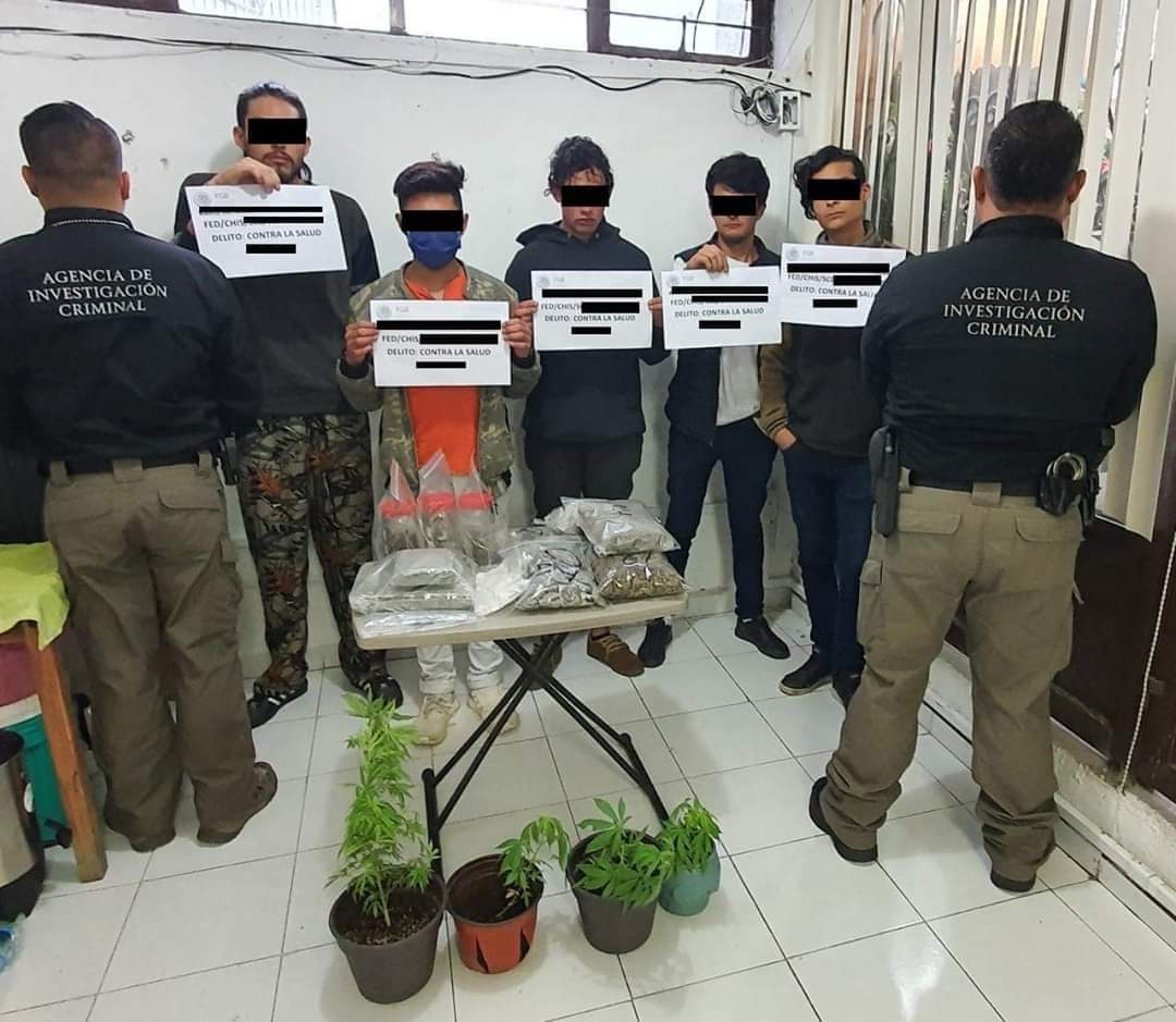 Traían la farmacia completa, LSD, coca y más de tres kilos de mota, FGR los asegura en San Cristóbal