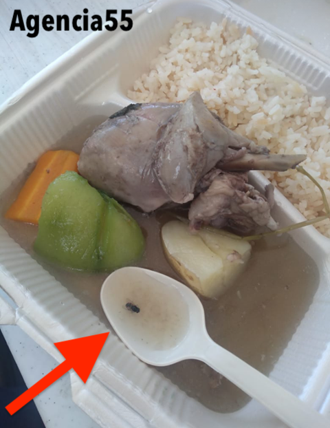 Encuentran mosca en comida de policía de la Secretaría de Seguridad Pública