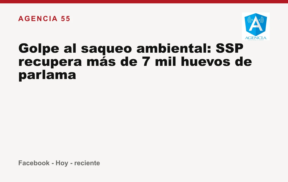 Golpe al saqueo ambiental: SSP recupera más de 7 mil huevos de parlama