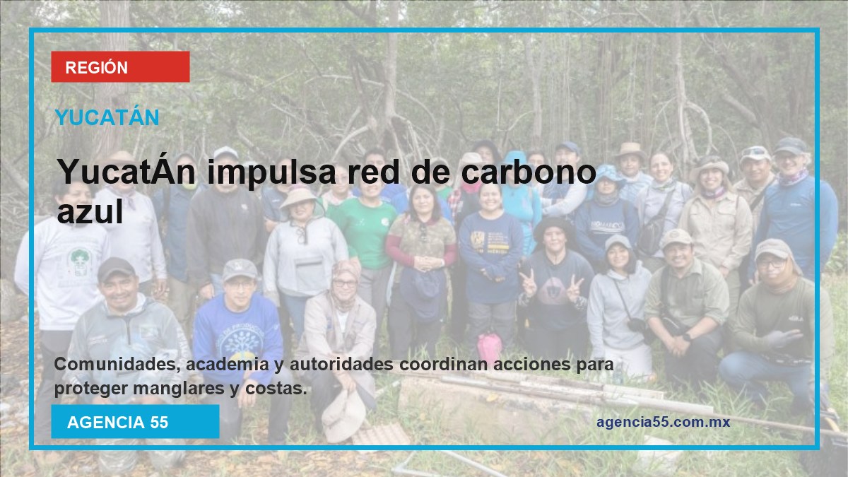 Yucatán impulsa red de carbono azul para proteger ecosistemas costeros